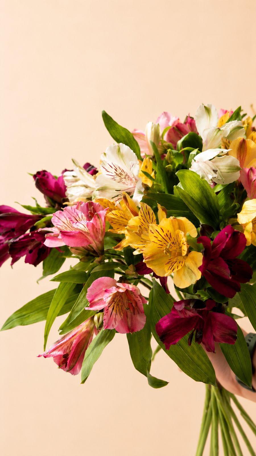 Market flower