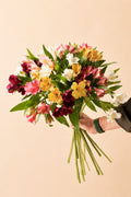 Alstroemeria