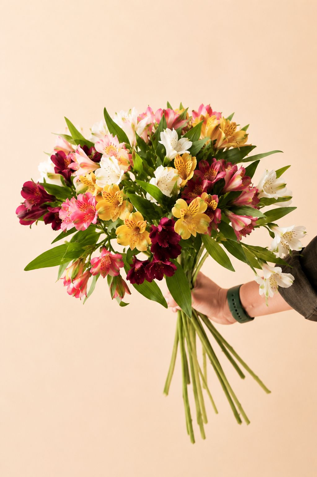 Alstroemeria