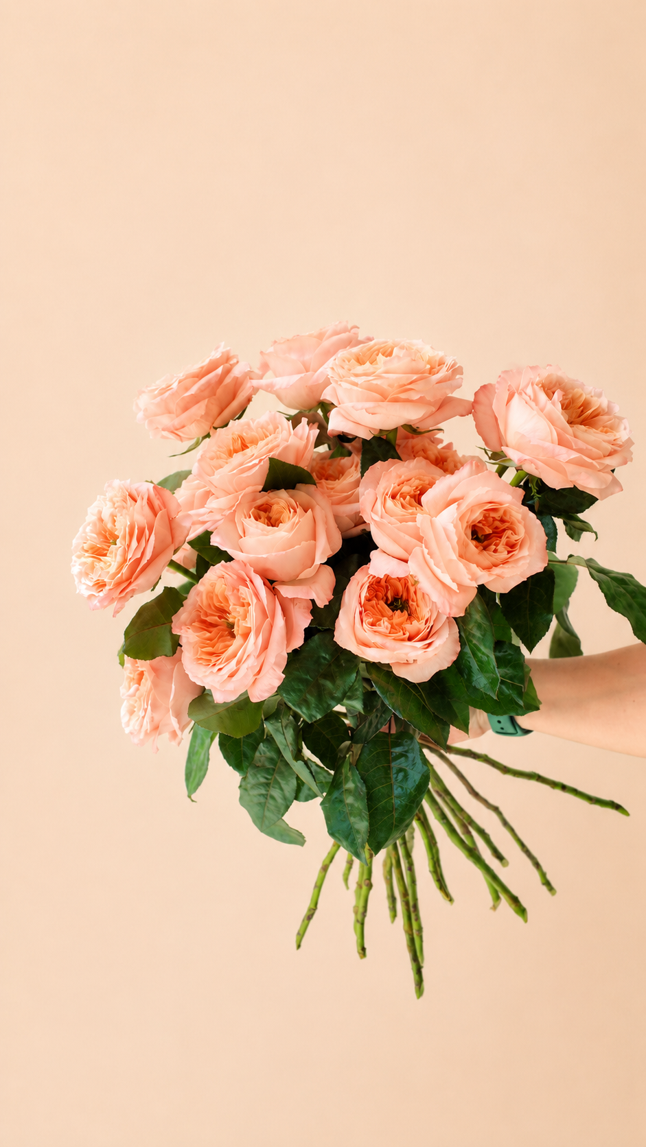 Roses Melon