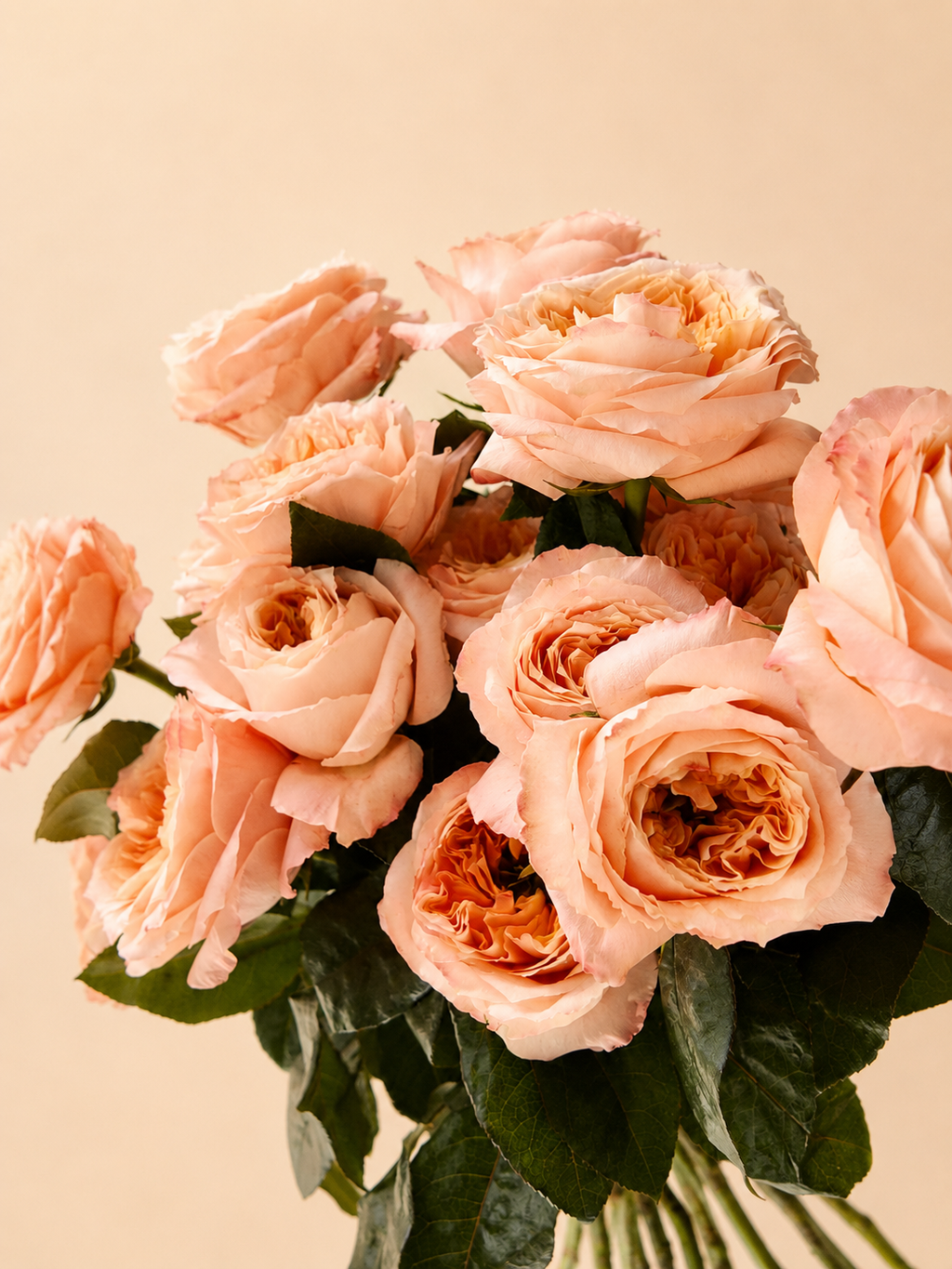 Roses Melon