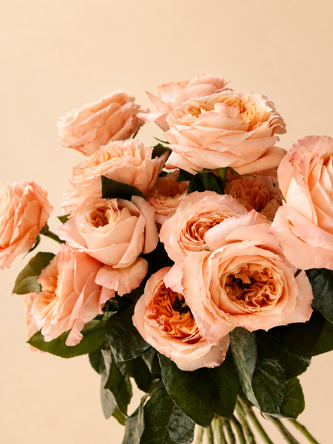 Roses Melon